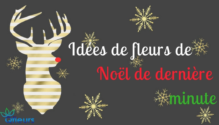 Noël 2017: Dernière minute X-Mas fleurs Traite de Qfleurs