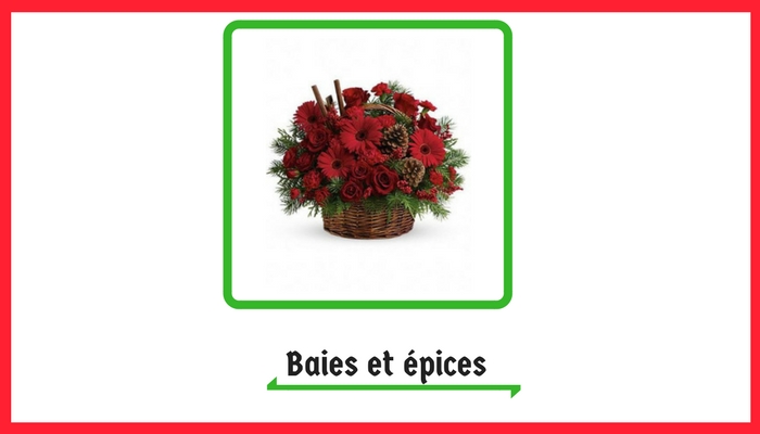 Baies et Epices