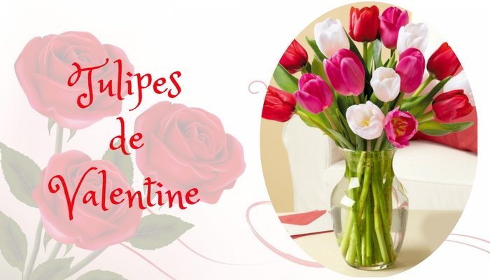Tulipes de Valentine