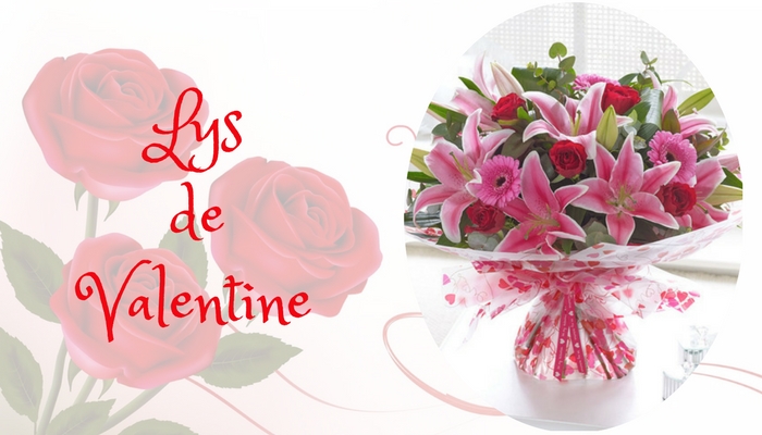 Lys de Valentine