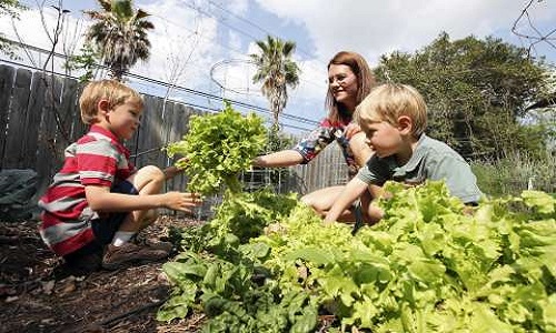 Maman Environnementaliste