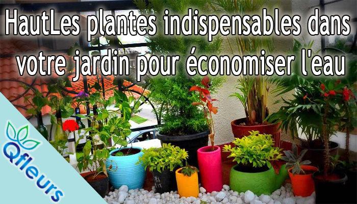 Top plants you must have in your garden