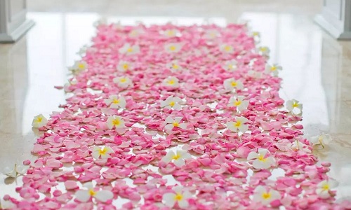 petals for partner