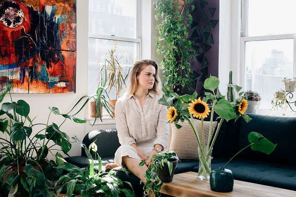 Achat de plantes malsaines