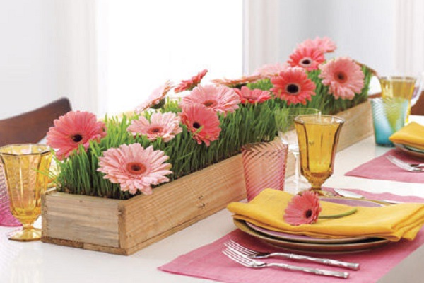 Rangee de marguerites