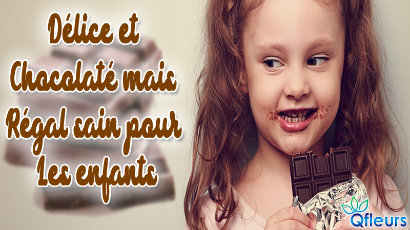 Délice et chocolaté mais régal sain pour les enfants