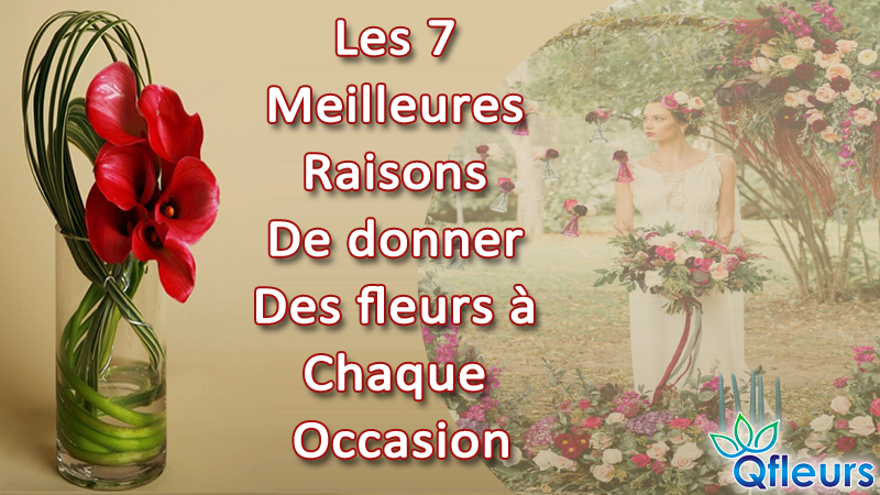 fleurs des occasion