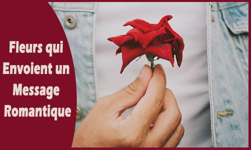 Fleurs qui envoient un message romantique