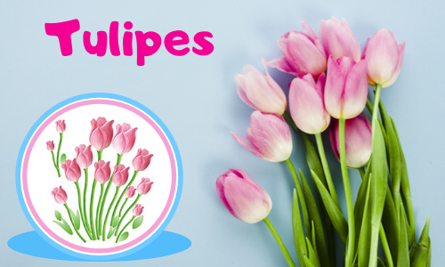 Tulipes