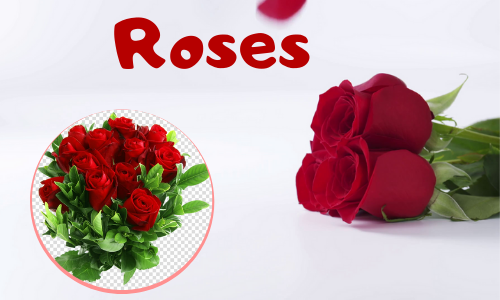 Roses