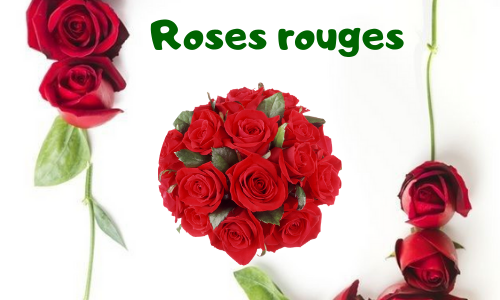 Roses rouges