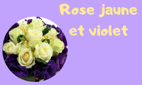 Rose jaune et violet