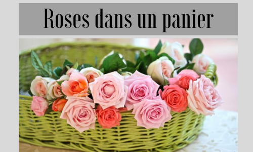 Roses dans un panier