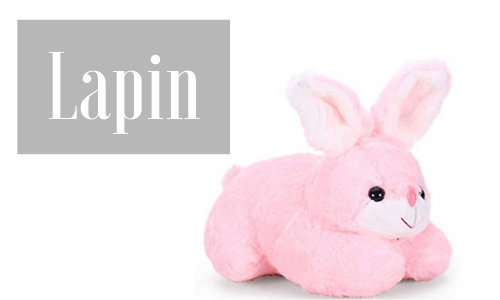 Lapin