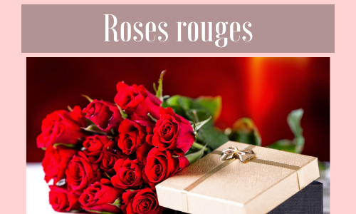 Roses rouges