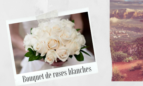 Bouquet de roses blanches