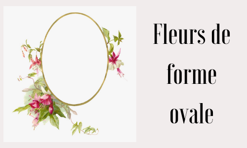 Fleurs de forme ovale