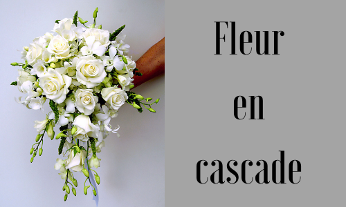 Fleur en cascade