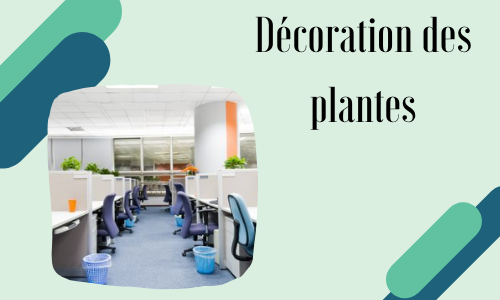 Décoration des plantes