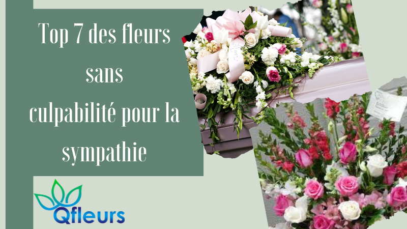 Top 7 des fleurs sans culpabilité pour la sympathie