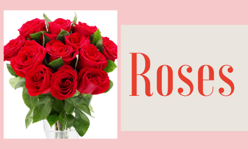 Roses