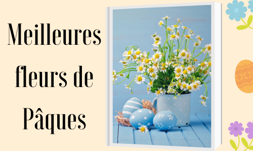 Meilleures fleurs de Pâques