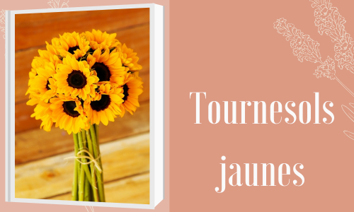 Tournesols jaunes