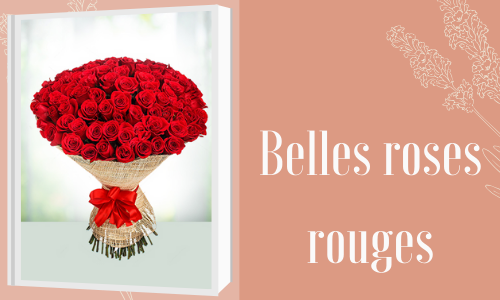 Belles roses rouges