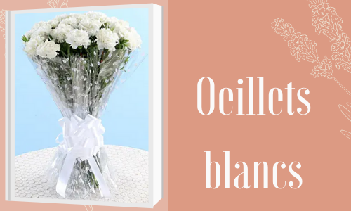Oeillets blancs