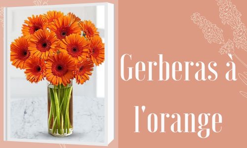 Gerberas à l'orange