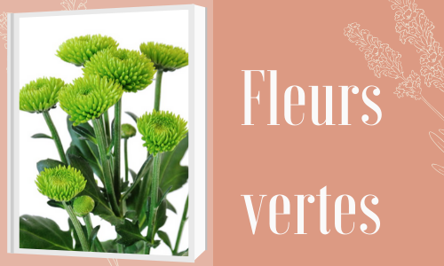 Fleurs vertes