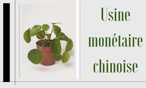 Usine monétaire chinoise