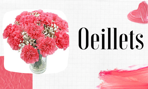 Oeillets