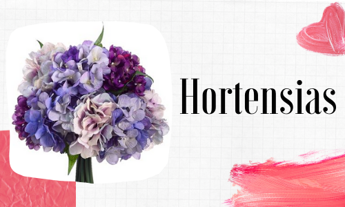 Hortensias