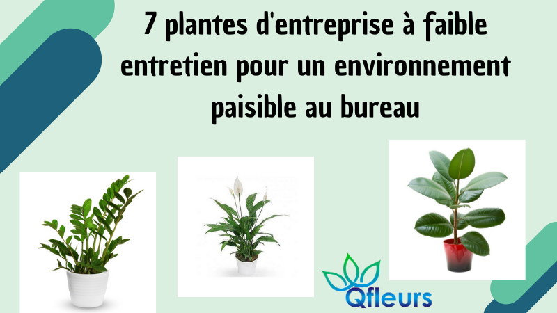 7 plantes d'entreprise à faible entretien pour un environnement paisible au bureau