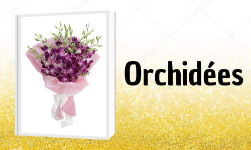 Orchidées