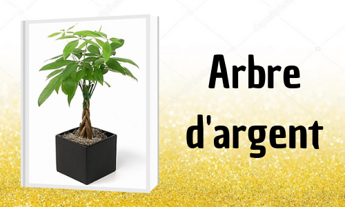 Arbre d'argent
