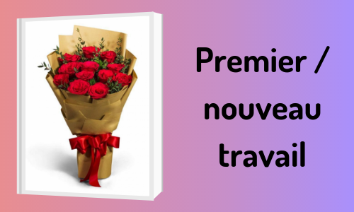 Premier / nouveau travail