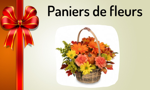 Paniers de fleurs