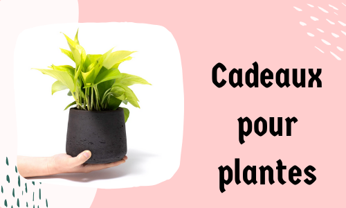 Cadeaux pour plantes