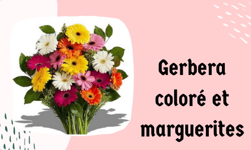 Gerbera coloré et marguerites