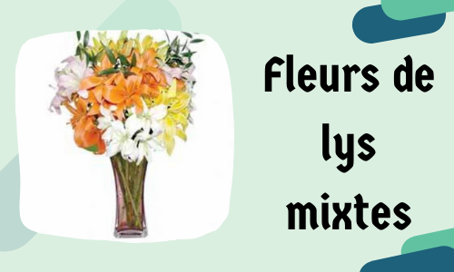 Fleurs de lys mixtes