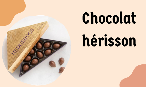 Chocolat hérisson