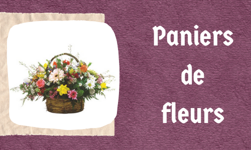 Paniers de fleurs