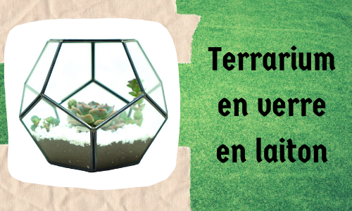 Terrarium en verre en laiton