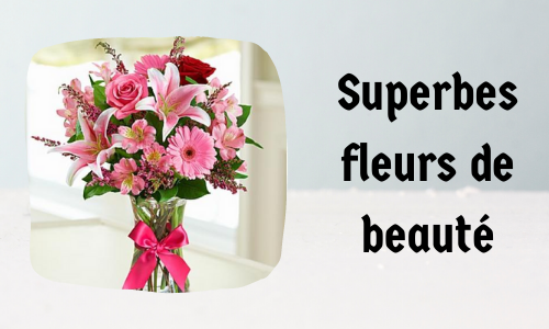 Superbes fleurs de beauté