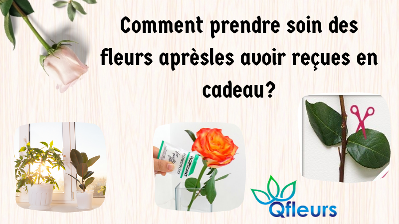 Comment prendre soin des fleurs après les avoir reçues en cadeau?