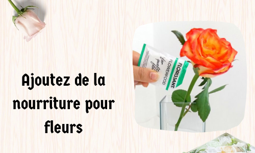 Ajoutez de la nourriture pour fleurs