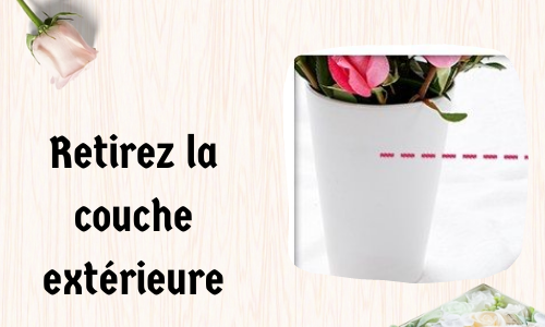 Retirez la couche extérieure