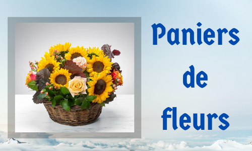 Paniers de fleurs